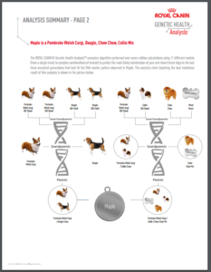 Maple GHA Breed page