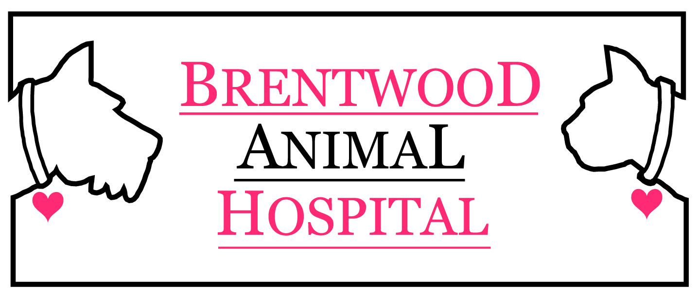 Brentwood Animal Hospital