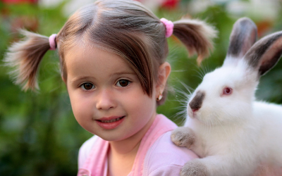 image for February is Adopt a Rescued Rabbit Month